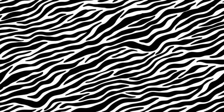 Seamless black and white zebra stripe pattern bold contrasting lines animal print texture