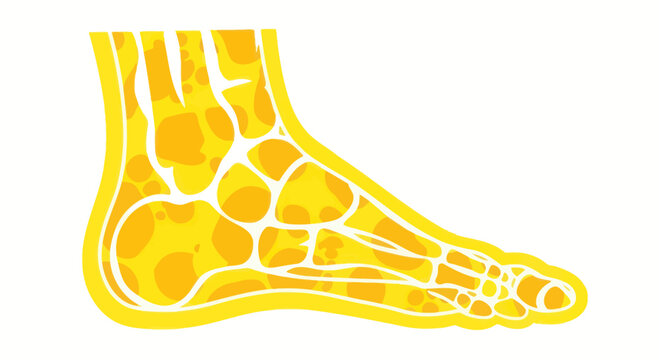Human Foot Skeleton Anatomy Illustration, Yellow Bone Structure on White Background