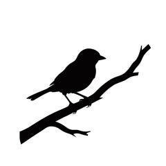 Fototapeta premium Eagle silhouette vector isolated on white, flying hawk bird of prey icon, majestic soaring raptor profile for nature logos and wildlife branding