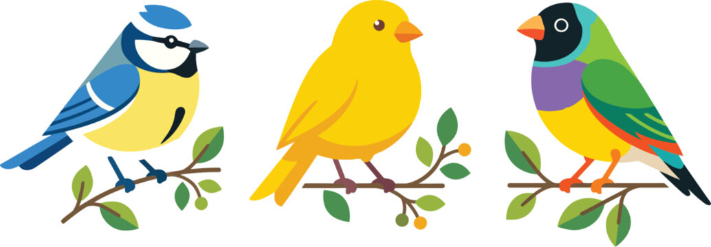  Flat Style Colorful Blue Tit Canary and Gouldian Finch Birds on Branch Vector Illustration for Nature Designs