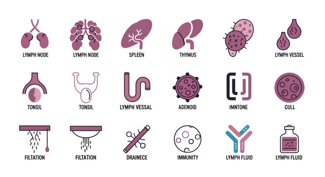 Lymphatic System Icons: Lymph Node, Spleen, Thymus, Tonsil, Immunity, Cell