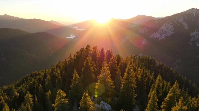 Golden sunbeams pierce through misty mountain peaks and pine forest
