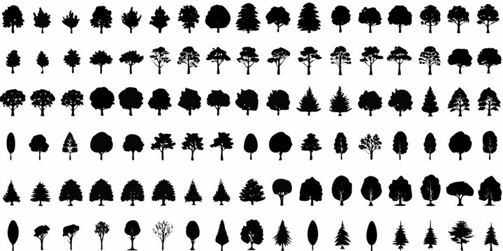 collection of black tree silhouettes on a white background various shapes and sizes