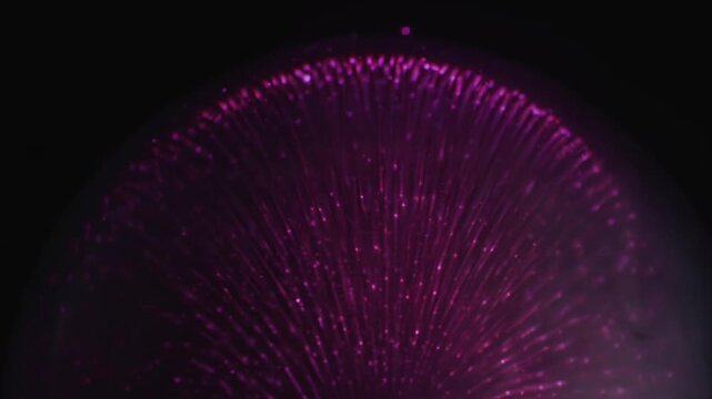 Abstract visual progression of glowing pink light strands radiating from a central point, creating a mesmerizing pattern against a dark background