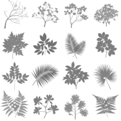 Set of sixteen white botanical silhouettes featuring various tree branches, tropical palm leaves, and diverse plant foliage on a black background © Abdur