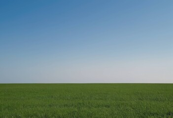 Obraz premium Vast green meadow and horizon under a clear blue sky