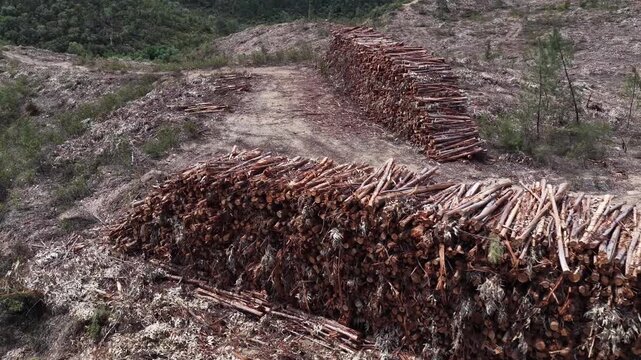 Aerial view of large piles of stacked timber and logs in a deforested area on a hillside in Portugal.
