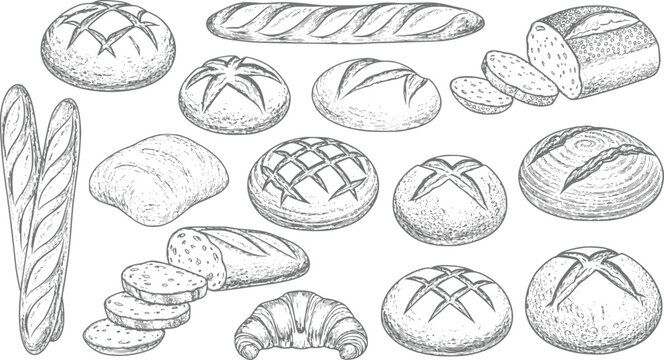 A collection of hand-drawn featuring various types of artisanal bread, including baguettes, sourdough loaves, rolls, and a croissant, isolated on a clean white background