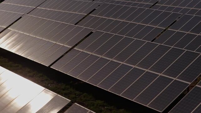 Aerial view of a large solar panel array reflecting sunlight in a photovoltaic power plant surrounded by green vegetation in Portugal.