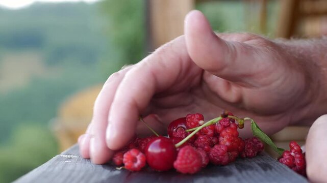 Strawberries, Raspberries, and Cranberries, Fresh Fruits, Healthy and Full of Vitamins, an Organic Snack, and a Perfect Dessert. 