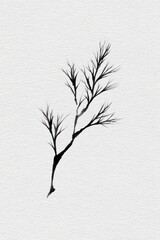 Obraz premium Minimalist ink branch illustration.