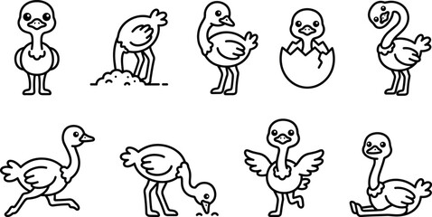 Cute Ostrich Character Line Icon Set Featuring Hatching Egg Head in Sand Running Eating and Dancing Poses for Children Coloring Books Vector © MSTFarjana