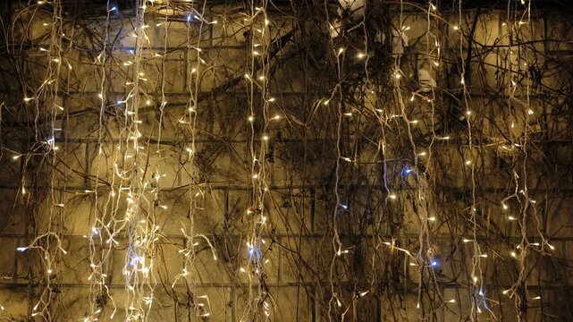 Holiday string lights hanging on dark wall with naked branches creating festive background
