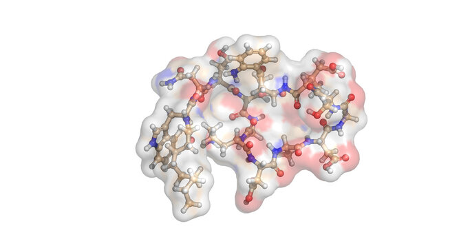 Daptomycin, last line of defense cyclic lipopeptide antibiotic drug for severe Gram-positive infections, 3D molecule 4K