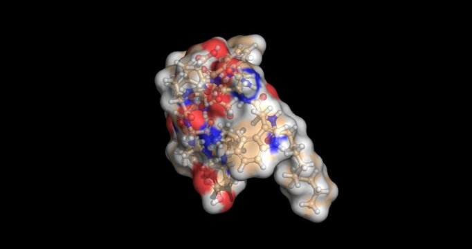 Daptomycin, last line drugs/cyclic lipopeptide antibiotic for severe Gram-positive infections, 3D molecule spinning, 4K