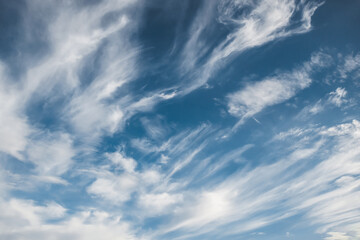 Obraz premium the sky is clear blue with fluffy white clouds, the sky is very bright, and the sun shines.