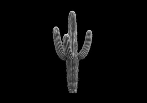 A single saguaro cactus with three arms, rendered in a grayscale monochrome style against a solid black background, studio