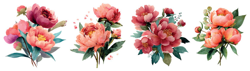 Peony watercolor illustration bundles displaying fresh blossoming flowers with green leaves, suitable for a romantic, vintage, or spring themed design © Narin