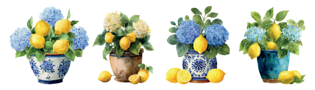 Hand painted watercolor set depicting charming floral compositions with blue and white hydrangeas and bright yellow lemons in different ceramic pots, isolated on a white background