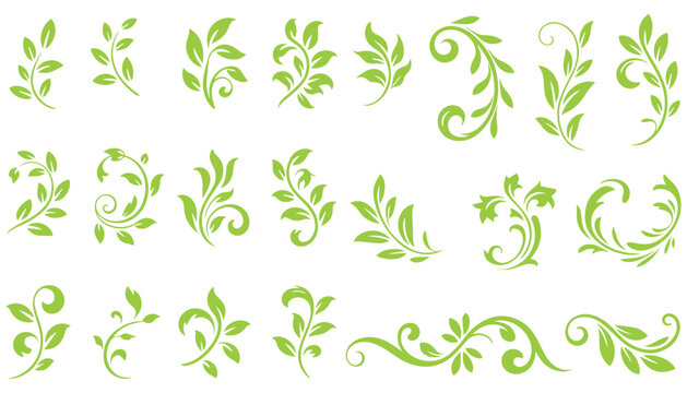 Green botanical flourishes for graphic design.