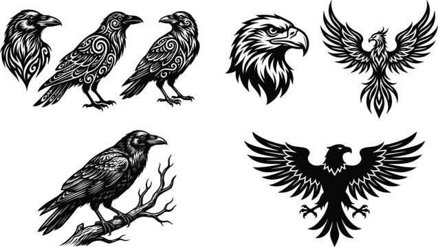 Stylized bird illustrations featuring ravens, eagles, and phoenix designs with tribal ornamental patterns and symbolic artwork