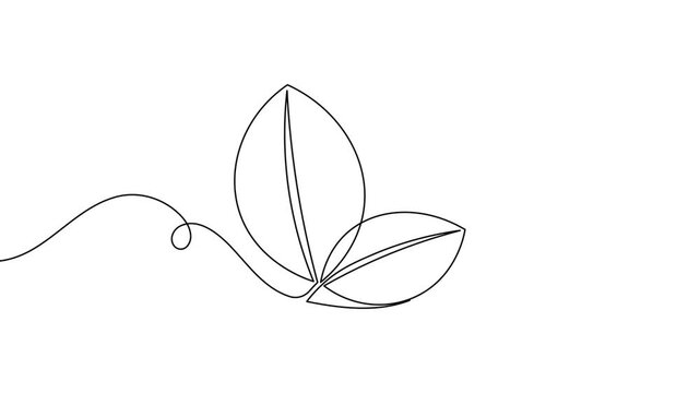 Modern leaves icon hand drawn continuous one line art drawing on white background minimalist agriculture startup symbol 4k animation video