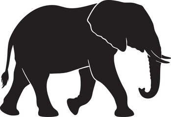 Fototapeta premium African Elephant Silhouette: A striking black silhouette of an African elephant, depicted mid-stride, showcases its majestic form and powerful presence against a plain background.