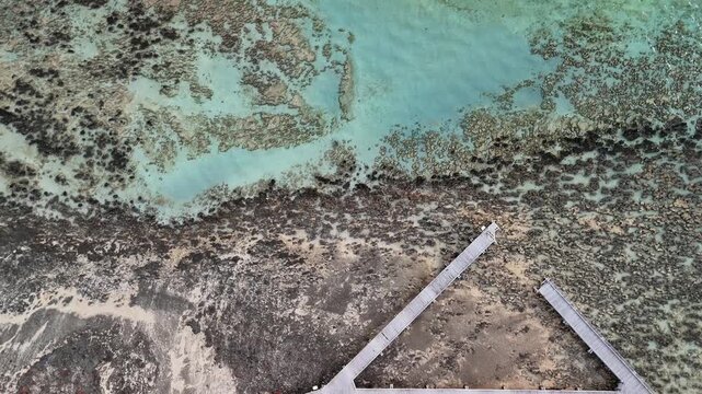 Drone view of Hamelin Pool in Shark Bay with crystal clear water and natural patterns