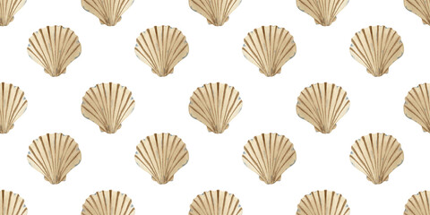Scallops, seashell watercolor hand drawn kids sea simple seamless pattern. Baby background of clam marine underwater inhabitant. Undersea print ocean cockleshell animals for textile, bedding, linen © Fedulova_art