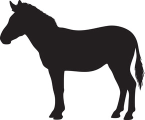 Zebra Silhouette: A stark black silhouette of a zebra stands in profile against a white background, showcasing its distinctive equine form. © Yasir