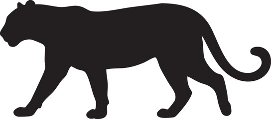 Black Panther Silhouette: A striking black silhouette of a panther in full stride, showcasing its powerful physique and graceful movement. © Yasir