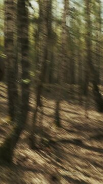 Reenactors Dressed As German Infantry Soldiers Make War Ambush In Autumn Forest. Running