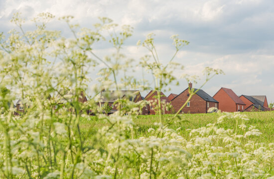 New Build Houses UK Sustainable Housing Development with Wild Flowers Nature Bokeh Foreground, Real Estate Copy Space.
