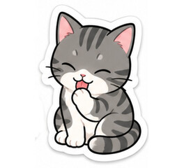 Obraz premium the cat is laughing