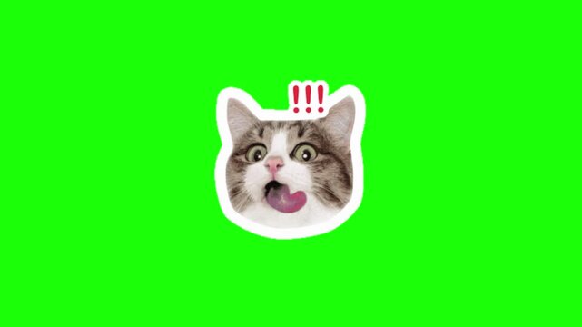 Green screen Sticker animation motion graphic with chroma key clip template 4k Background. Easy removed green screen. High resolution. Ultra High Definition, 4k video.