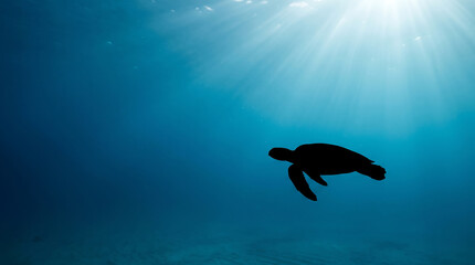 Fototapeta premium Oceanic sea turtle swims through sunlit waves near renewable energy concept ocean