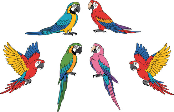 Colorful tropical parrot series featuring seven macaws in dynamic poses flying standing and perched arranged in artistic decorative composition on white