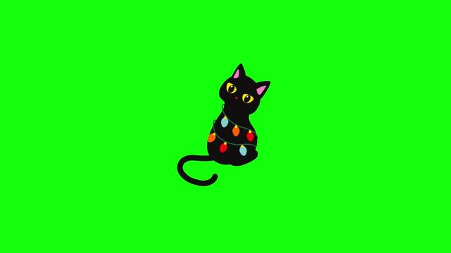 Curious black cat with pink inner ears and large golden eyes wrapped in colorful Christmas lights.  Isolated on vivid green screen, crisp flat vector style, seamless looping animation.
