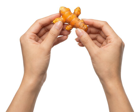 Woman's hands holding a piece of fresh turmeric root isolated on transparent background