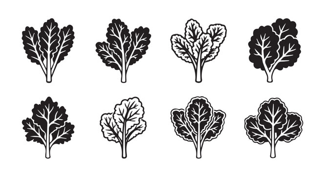 Collage of stylized kale leaves in black and white flat design against a white background for graphic elements
