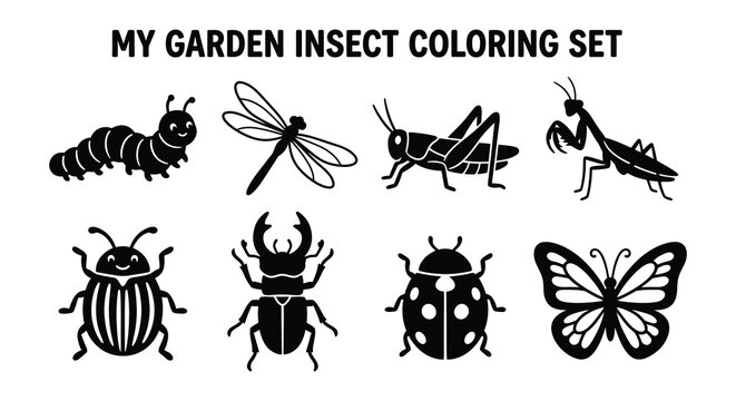 Flat vector insect set on a white background