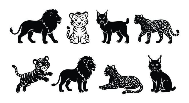 Black silhouettes of lions tigers lynx and leopards on white background