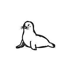 Fototapeta premium Doodle seal icon logo design. Sea lion sign and symbol. Hand drawn playful seal sketch. Marine animal vector illustration.