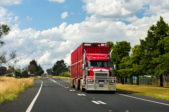 Cattle truck livestock transport on remote Australian highway in NSW