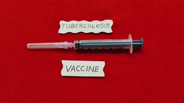 BCG or TB bacterial disease prevention and protection vaccination or injection concept. Hand placing syringe near tuberculosis vaccine word or text.