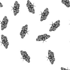 seamless pattern camouflage night moth hand drawn. metamorphosis lepidoptera, scales flutter, crepuscular pheromones camouflage night moth black sketch illustration © PikePicture