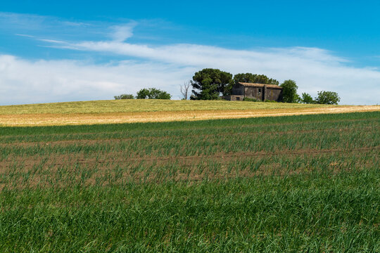 Campi assolati in Molise