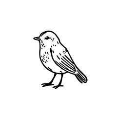 Fototapeta premium Robin bird icon logo design. Songbird sign and symbol. Robin bird icon. Hand drawn doodle style for nature branding.