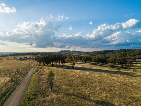 Farm driveway in afternoon light at the end of the day in country Australia