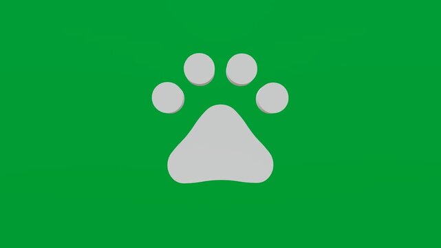 3D render of paw print icon on chroma key green screen background